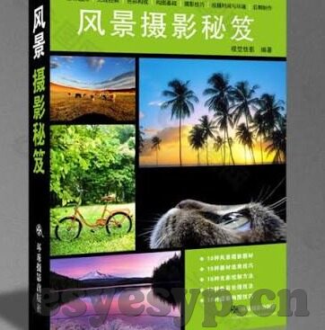 麻豆凌微av在线播放-麻豆影业的独特魅力 —— 探秘凌微的视觉盛宴