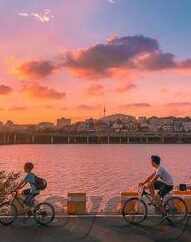 糖心app下载老版-糖心时光，经典融心——老版App的温情回顾